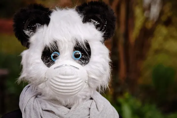 SpinShake Casino Tacaíocht